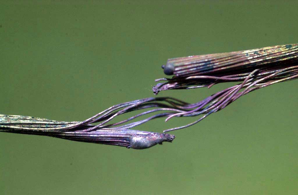 화재 현장에서 확인된 단락흔 사진2